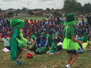 the green machine at the cross country