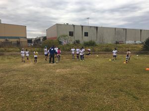 NSW rugby league training