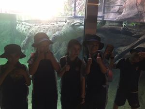 crocodile yr 2 wildlife