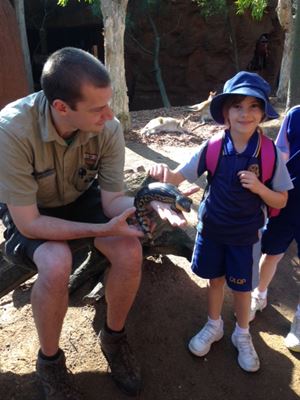 y2 sydney wildlife pic 3