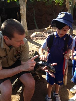 yr 2 sydney wildlife pic 5