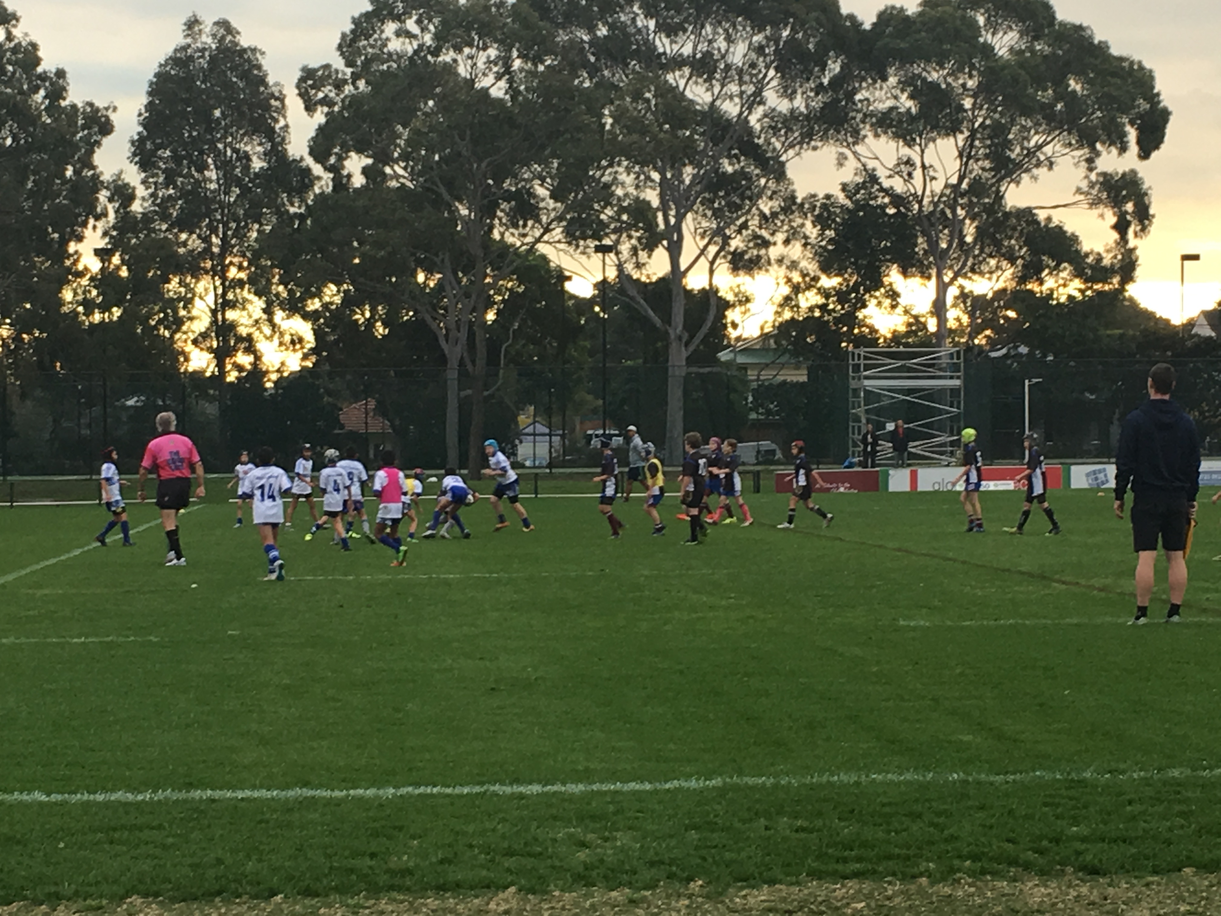 OLQP Bulldogs in Action