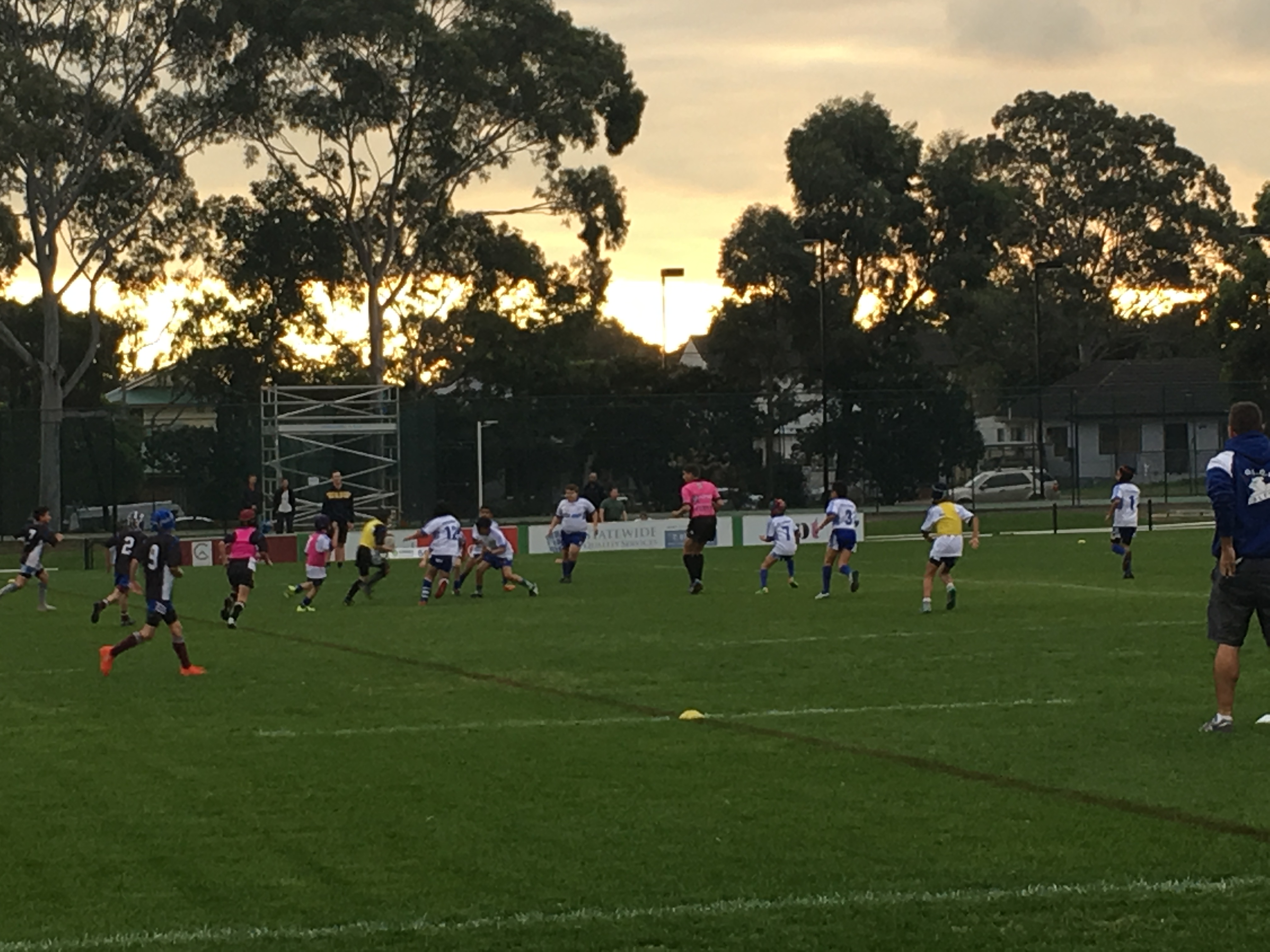 OLQP Bulldogs