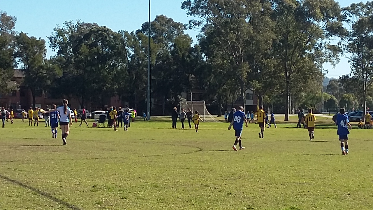 Stage 3 Boys Soccer Gala day pic2