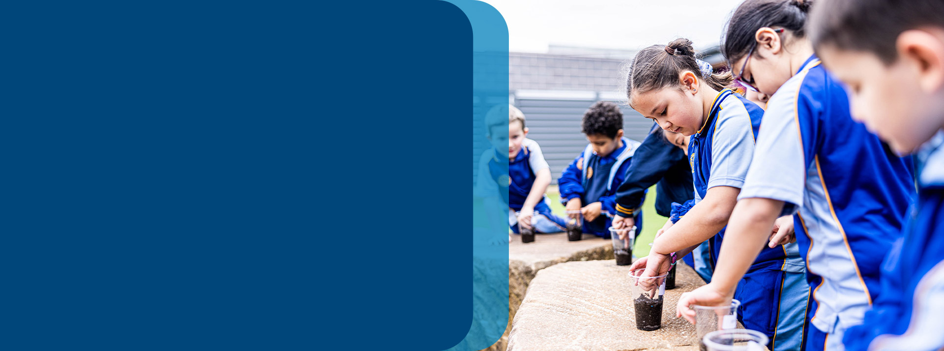 Students planting seeds outside at Our Lady Queen of Peace Primary School Greystanes