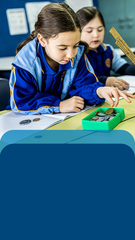 Student counting play money in the classroom at Our Lady Queen of Peace Primary School Greystanes