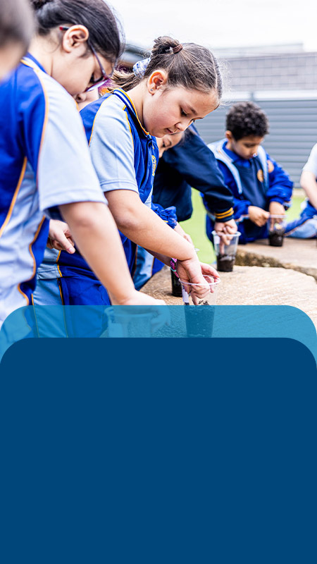 Students planting seeds outside at Our Lady Queen of Peace Primary School Greystanes