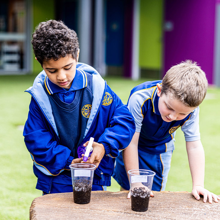 Students planting seeds outside at Our Lady Queen of Peace Primary School Greystanes